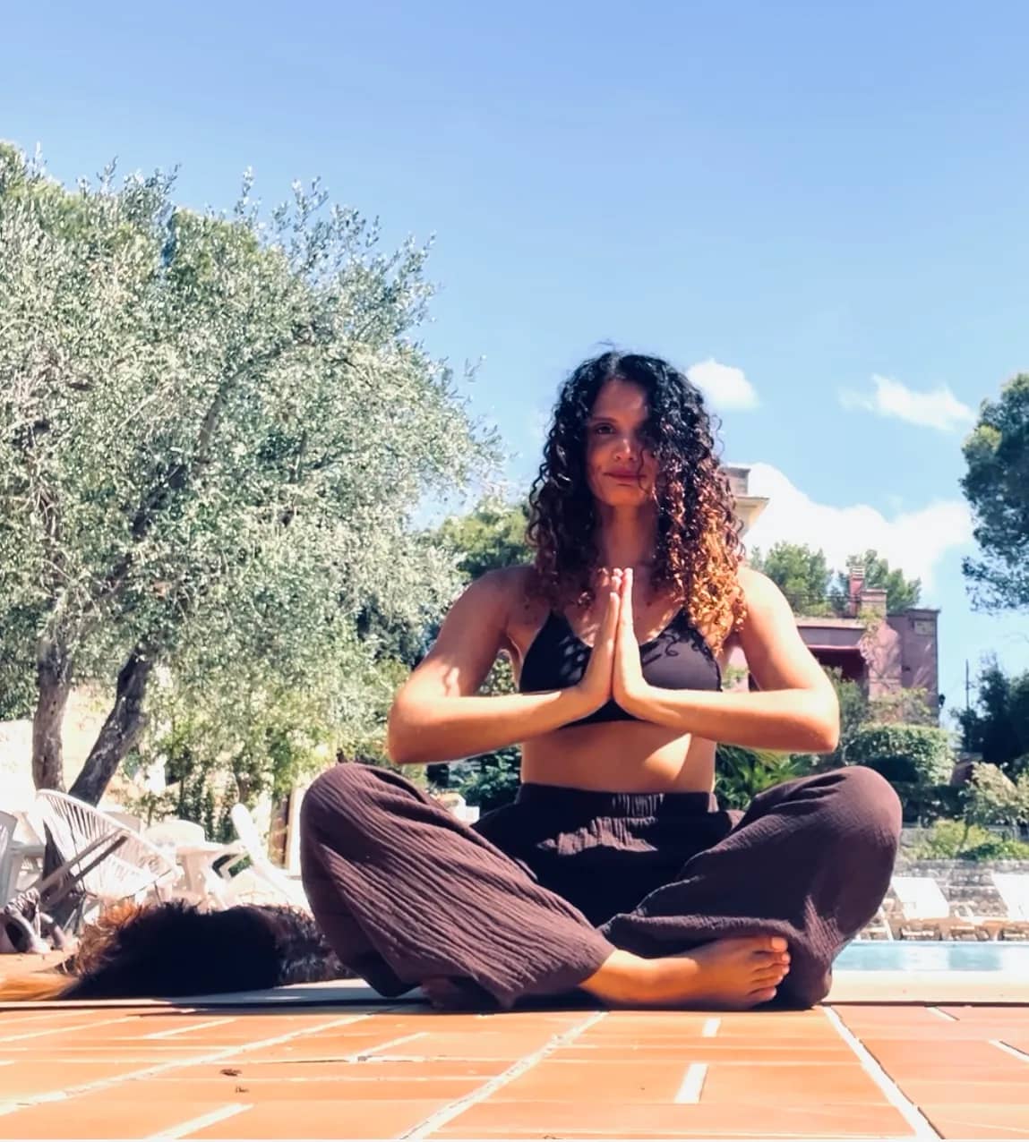 Gentle yoga among olive trees in Puglia